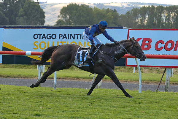 Cluedo Lane winning the Gr.3 White Robe Lodge Weight For Age (1600m). Photo: Monica Toretto