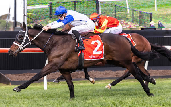 Coastwatch wins the G3 Ming Dynasty - image Steve Hart.