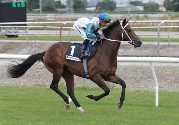 Codigo has made it two wins from two starts with victory in the Listed IRT Wellesley Stakes (1100m) at Trentham Photo Credit: Trish Dunell