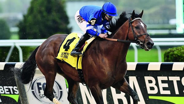 Cody's Wish. Image:Godolphin.