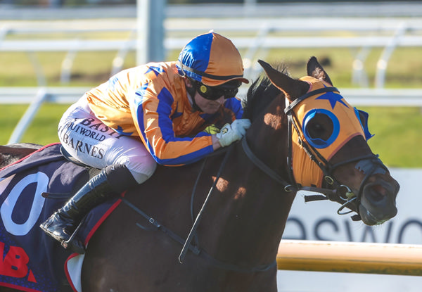 Cognito winning Saturday’s Join TAB Racing Club Open (1580m) at Riccarton.  Photo: Ajay Berry (Race Images South)