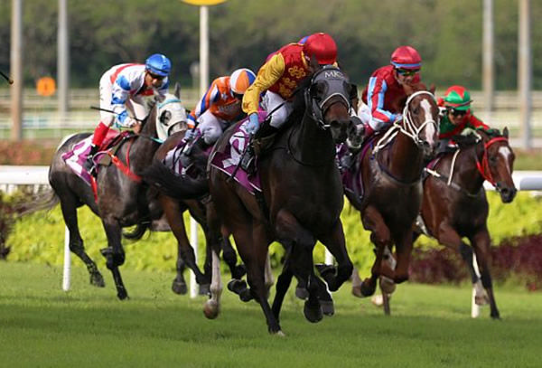 Coin Toss wins the Singapore Guineas - image Singapore Turf Club