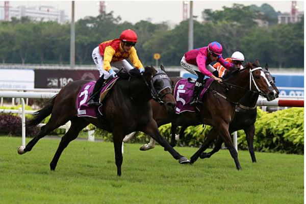 Coin Toss leads home an Aussie bred trifecta in the Singapore Guineas - image Singapore Turf Club 