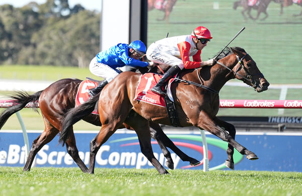 Coincide makes it back to back wins at Sandown - image Scott Barbour / Racing Photos