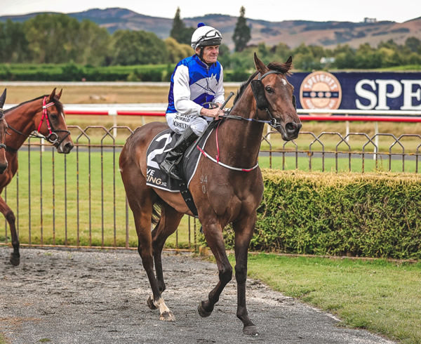 Terry Moseley returns to scale aboard Collect Your Cash following the Listed Dunedin City Motors Dunedin Guineas (1500m) at Wingatui on Saturday.  Photo: Monica Toretto