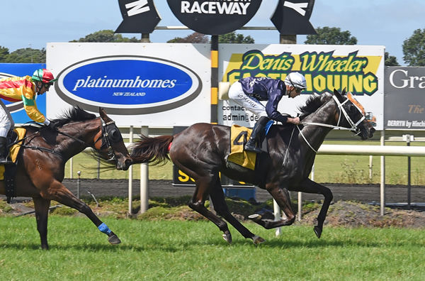 Colorado Star takes out the Gr.3 Denis Wheeler Earthmoving Taranaki Cup (1800m) at New Plymouth Photo Credit: Race Images – Peter Rubery