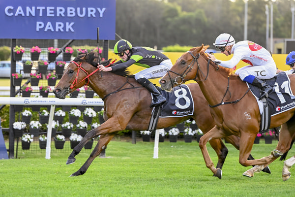 Columbia Blue scores at Canterbury - image Bradley Photos