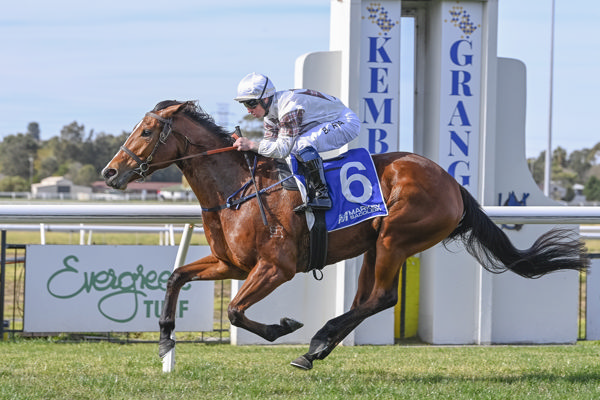 Commanding Belle opens her account at Kembla - image Bradley Photography