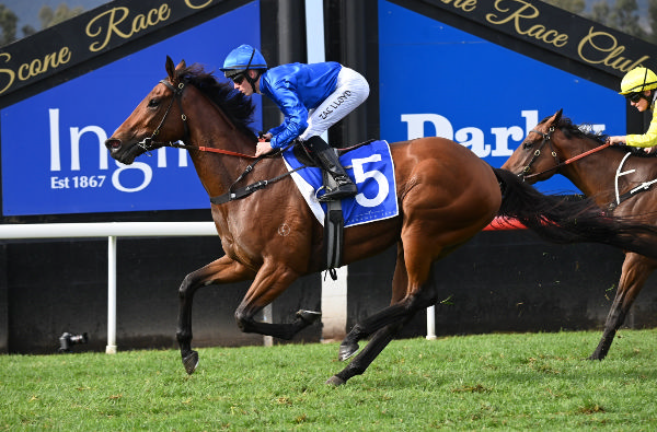 Commemorative wins her first stakes race at Scone - image Steve Hart