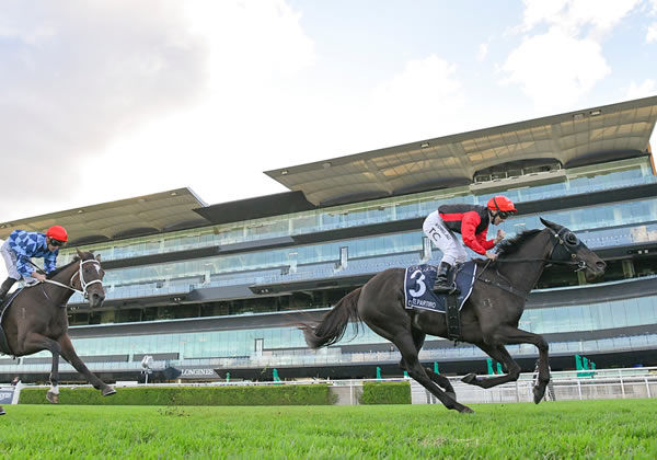 Con Te Partiro scores a dominant win in the G1 Coolmore Legacy - images Steve Hart