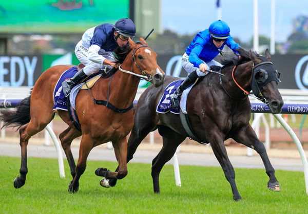 Conceited wins on debut for Godolphin - image Grant Courtney