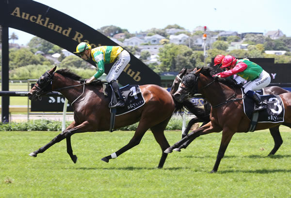 Concert Hall beats stablemate Cheaperthandivorce in the Gr.3 Skycity City of Auckland Cup (2400m) Photo Credit: Kirstin Ledington