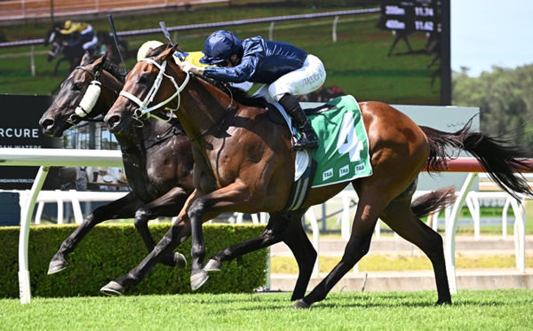 Congressman gets home right on the line at Wyong - image Bradley Photography
