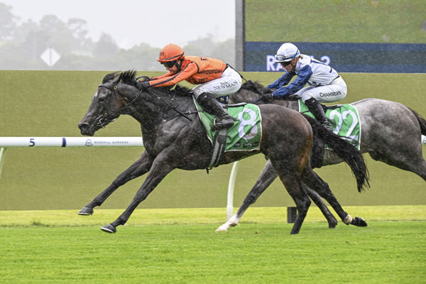 Jett Newman wins her first city race on Considered - image Bradley Photos 