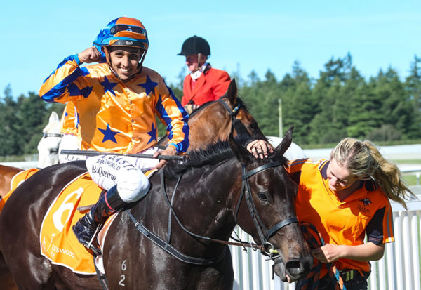 Cool Aza Rene will contest the Listed NZB Airfreight Stakes (1400m) at Wingatui on Boxing Day. Photo: Race Images South