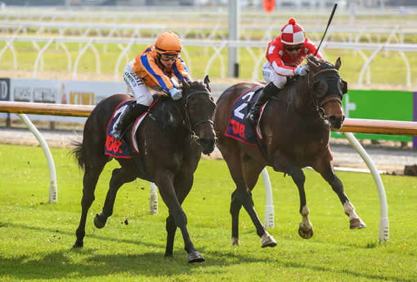 Cool Aza Rene (outside) gets the better of El Vaquero in the Bain McCall Memorial at Riccarton. Photo: Race Images South