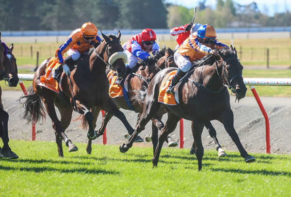 Cool Aza Rene winning the Gr.3 Barneswood Farm Stakes (1400m) at Ashburton on Saturday. Photo: Race Images South