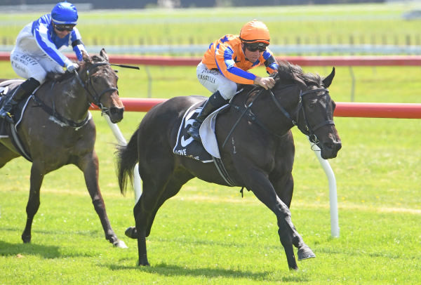 Cool Aza Rene winning the 2YO (800m) at Otaki on Saturday.  Photo: Peter Rubery (Race Images Palmerston North)