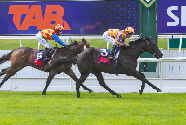 Cool Aza Rene winning the 2YO (1000m) at Riccarton on Wednesday.   Photo: Ajay Berry (Race Images South)