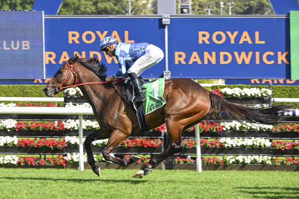 Cool Jakey wins easily at Randwick - image Bradley Photos