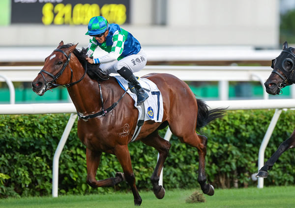 Copartner Prance wins the G3 Premier Cup - image HKJC