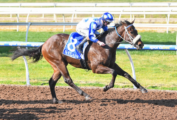 Cosmic Coco wins well at Pakenham - image Pat Scala / Racing Photos 