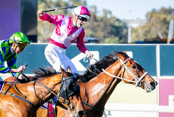 Cosmic Crusader edges out Watch Me Rock in the G1 Northerly- image Western Racepix 