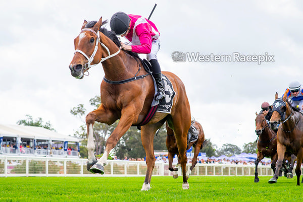Cosmic Crusader cruises clear for his first stakes win - image Western Racepix