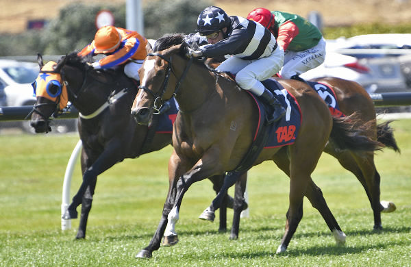 Costae will line-up in Saturday's Gr.1 Barneswood Farm New Zealand 1000 Guineas (1600m) at Riccarton Park.   Photo: Kenton Wright (Race Images) 