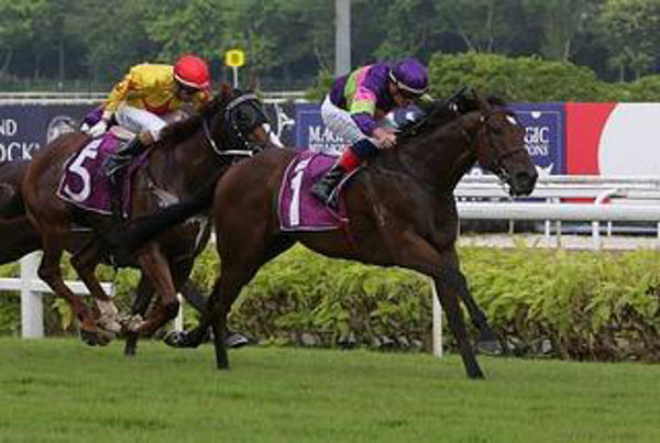 Countofmontecristo wins the Chairman's Trophy at Kranji