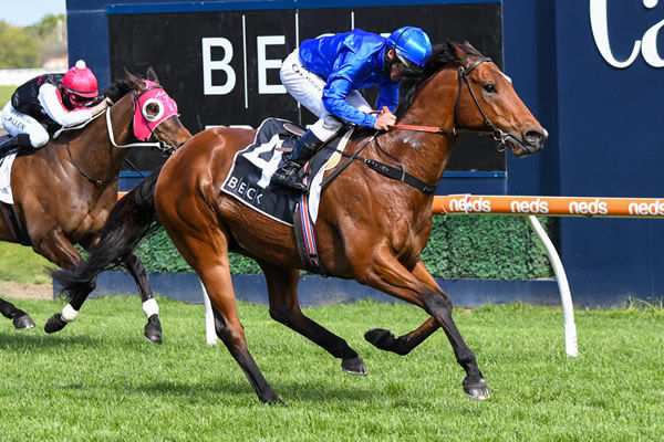 Bivouac's big brother Coruscate won the Listed Testa Rossa Stakes - image Pat Scala Racing Phoros 