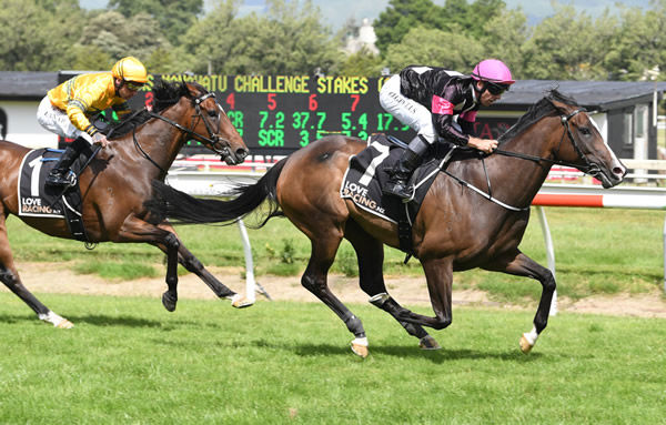 Coventina Bay defeats Tavi Mac in the Gr.2 Carters Manawatu Challenge Stakes (1400m) Photo: Race Images – Grant Matthew