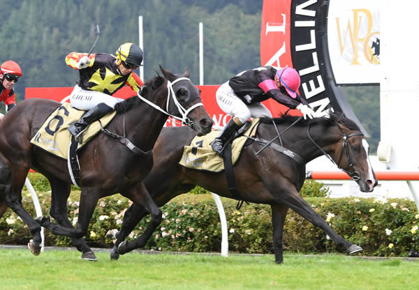 Coventina Bay inside will contest the Gr.1 Tattersall’s Tiara (1400m) at Eagle Farm on Saturday. Photo: Grant Matthew (Race Images Palmerston North)