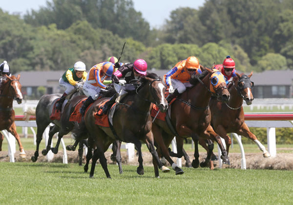 Coventina Bay (outer) takes out the G3 J Swap Sprint . Photo: Trish Dunell