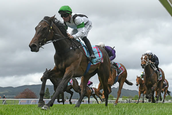 Cream Tart and Craig Grylls winning the Upper Hutt Car Sales LTD Three-Year-Old (1400m) at Trentham on Sunday.  Photo: Peter Rubery (Race Images Palmerston North)