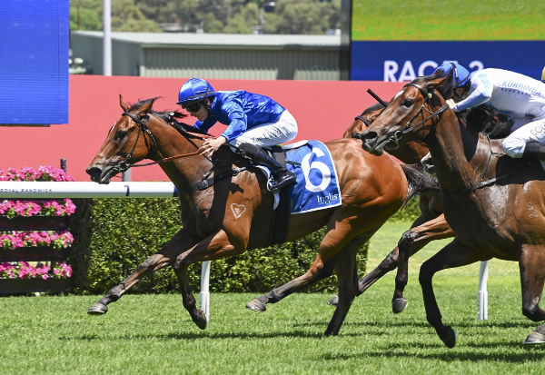 Crepe Myrtle wins at Randwick - image Bradley Photography