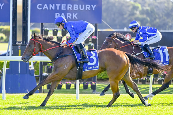 Consecutive Wins For Torryburn Stud's Yearling Graduate Crepe Myrtle - Image Bradley Photos