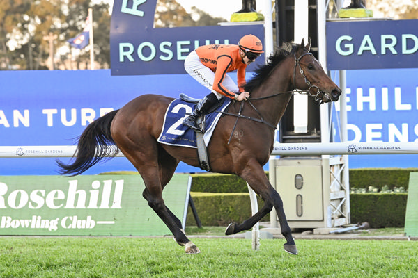 Cristal Clear has won three on the trot  - image Bradley Photograhy