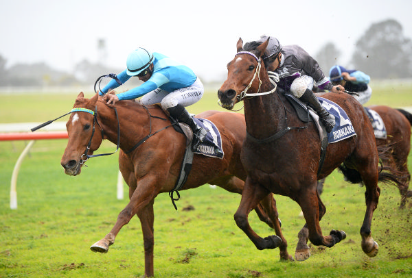 Crocetti (inside) dives to victory over Master Fay in the Alibaba’s Flying Carpets Kerikeri Cup (1100m) at Ruakaka.   Photo: Therese Davis (Race Images)