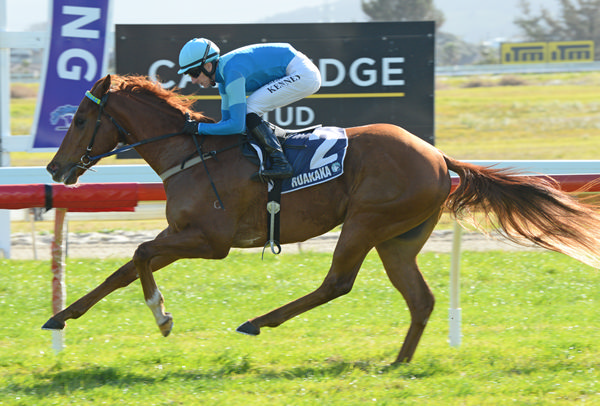 Crocetti will contest the Gr.3 Cambridge Stud Northland Breeders’ Stakes (1200m) at Ruakaka on Saturday. Photo: Race Images