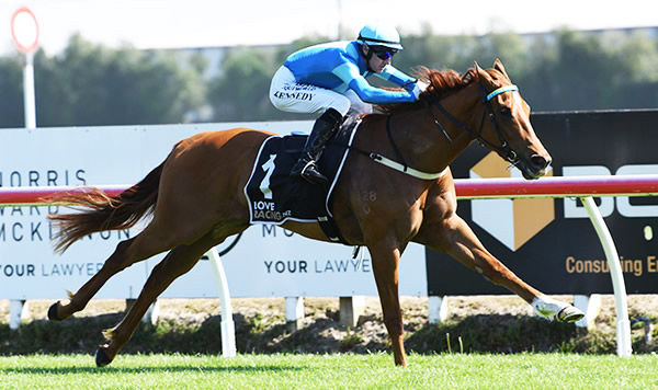 Crocetti remains unbeaten to claim the Gr.2 James & Annie Sartern Memorial (1400m) at Te Rapa on Saturday.  Photo: Kenton Wright (Race Images)