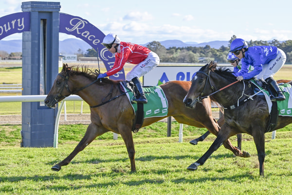 Cross Tasman salutes at Hawkesbury - -image Bradley Photography