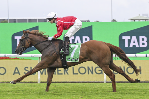 Cross Tasman scores again for the O’Shea–Charlton stable at Rosehill.   Photo: Bradley Photos