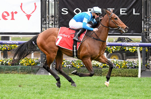 Crosshaven wins his first stakes races in the Listed Exford Plate - image Reg Ryan/ Racing Photos