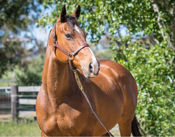 Crystal Rock sold for $230,000.