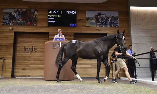 Bruckner topped the 2020 Inglis Premier Yearling Sale at $725,000.