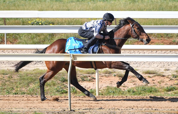 Vancouver colt from Anatole that breezed fastest in 10.16