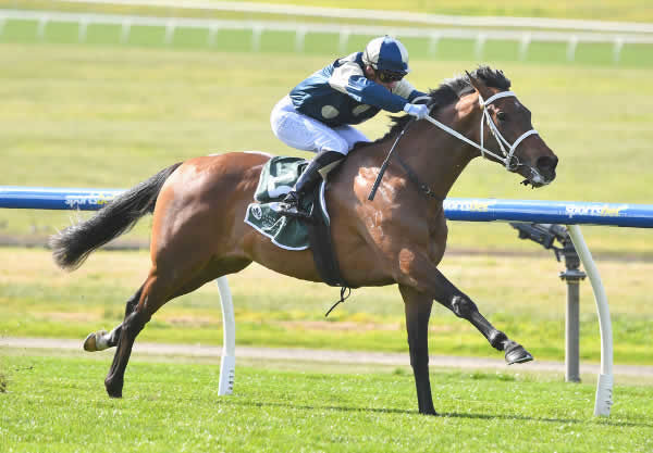 Daggers bolts in at Sandown - image Pat Scala/ Racing Photos