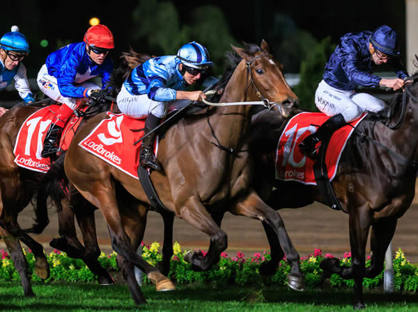 Daisies scores a remarkable win in the G2 Stocks Stakes - image Grant Courtney