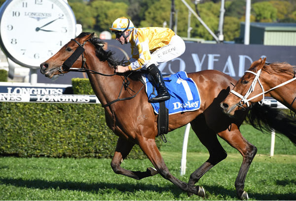 Dame Giselle wins the G2 Furious Stakes - image Steve Hart